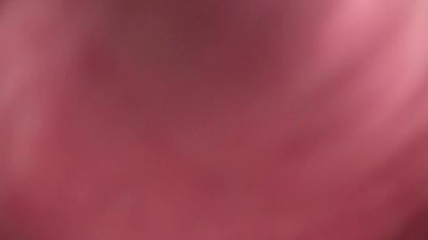 17020