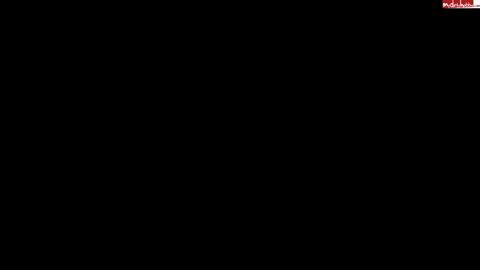 17536