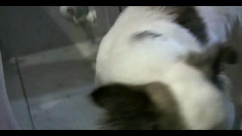 21735
