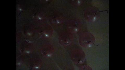 2151