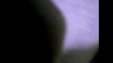 3123