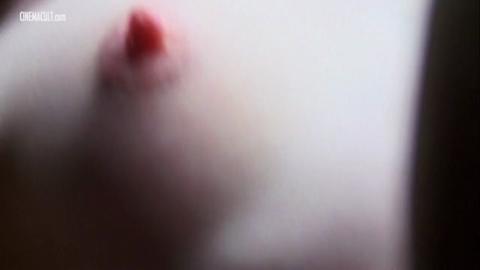 2491