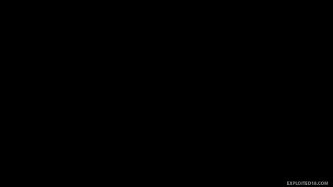 12050